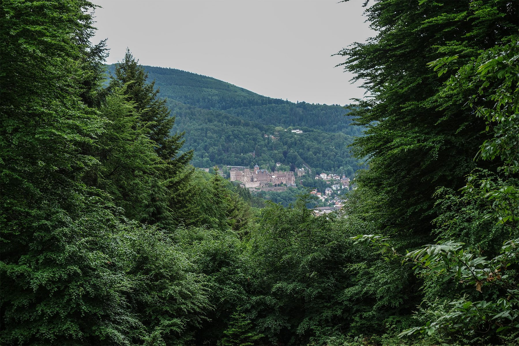 1Zollstock – Blick auf Heidelberg im Sommer