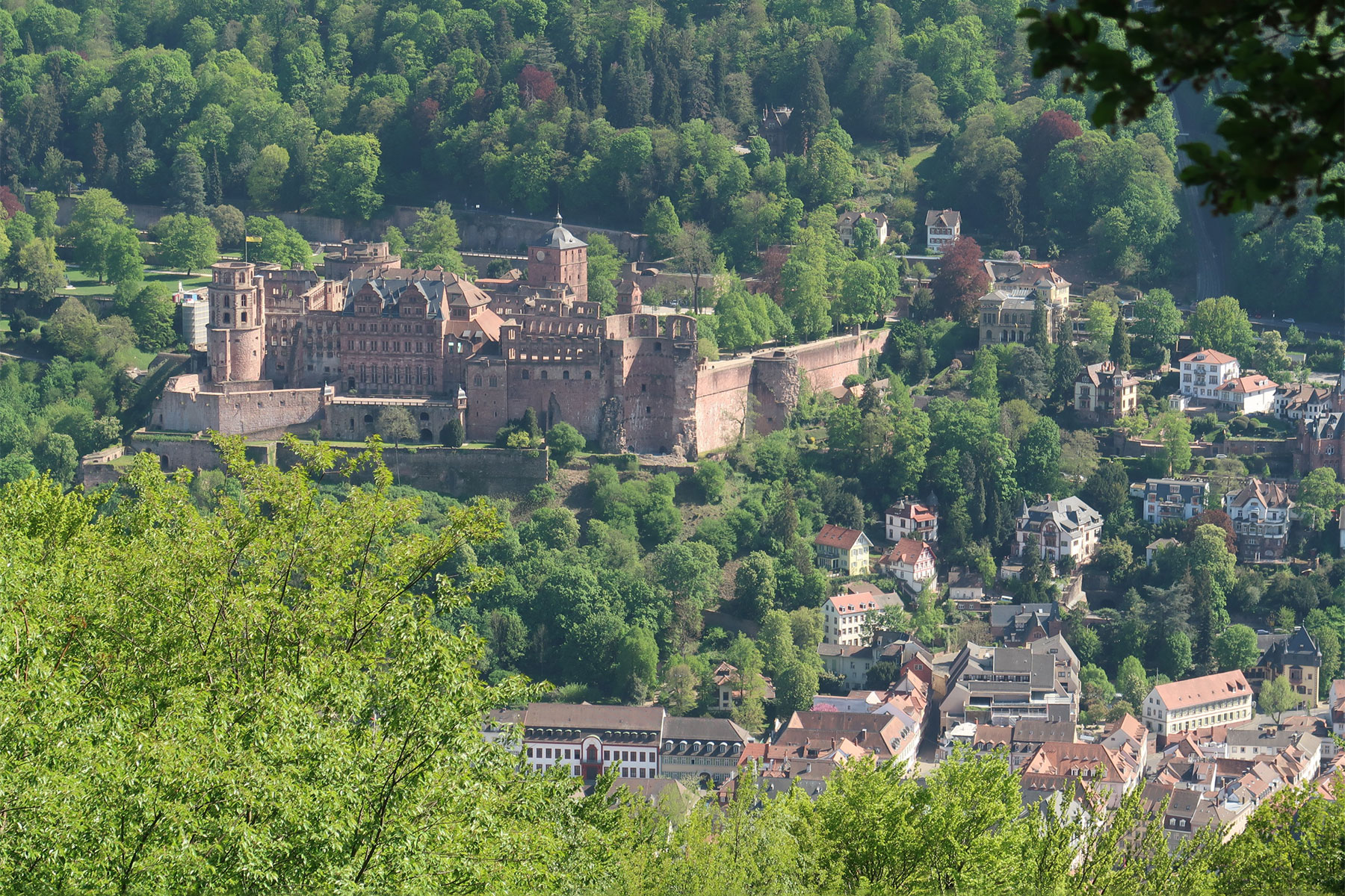 Blick vom Stephanskloster nach Heidelberg