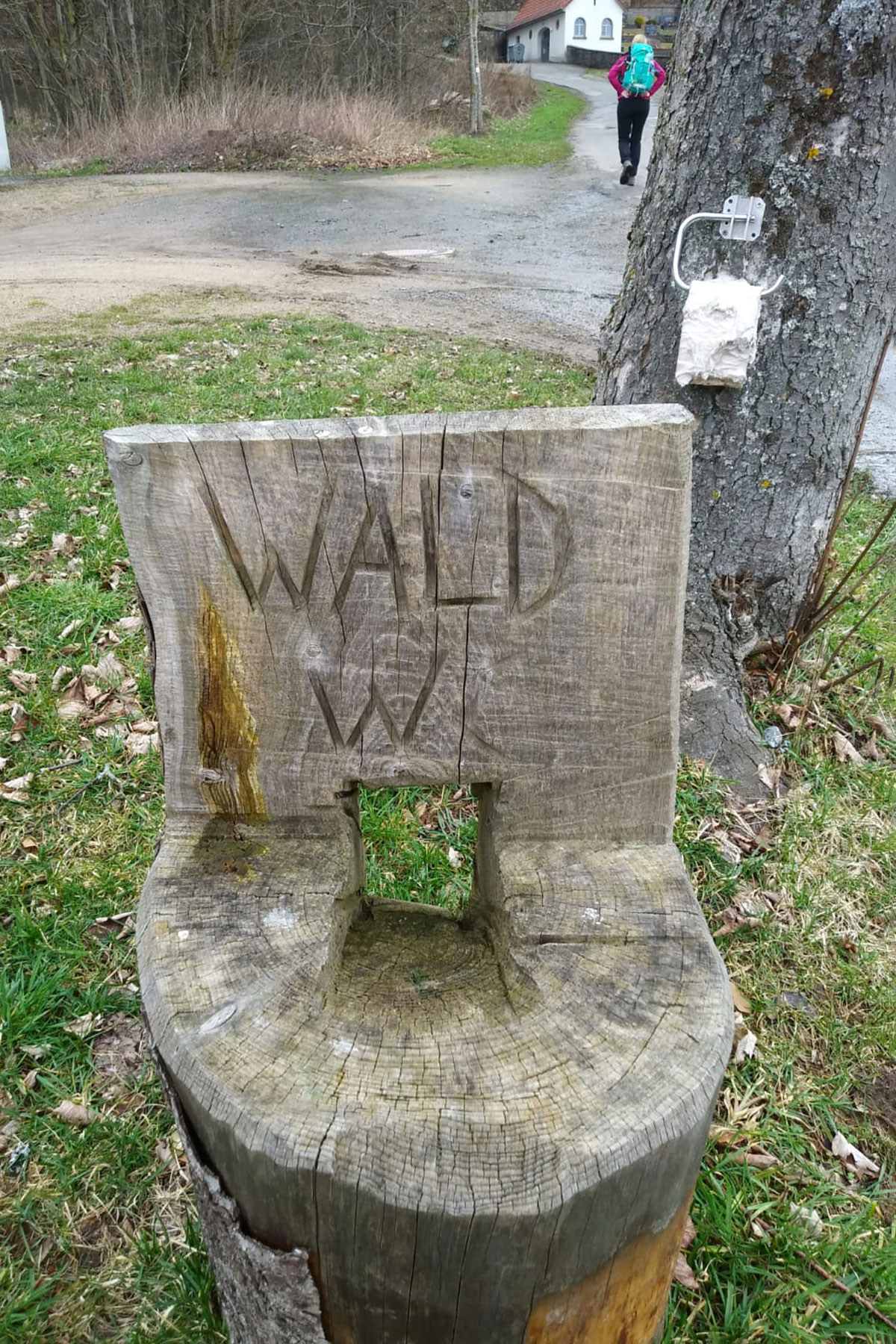 Wald-WC