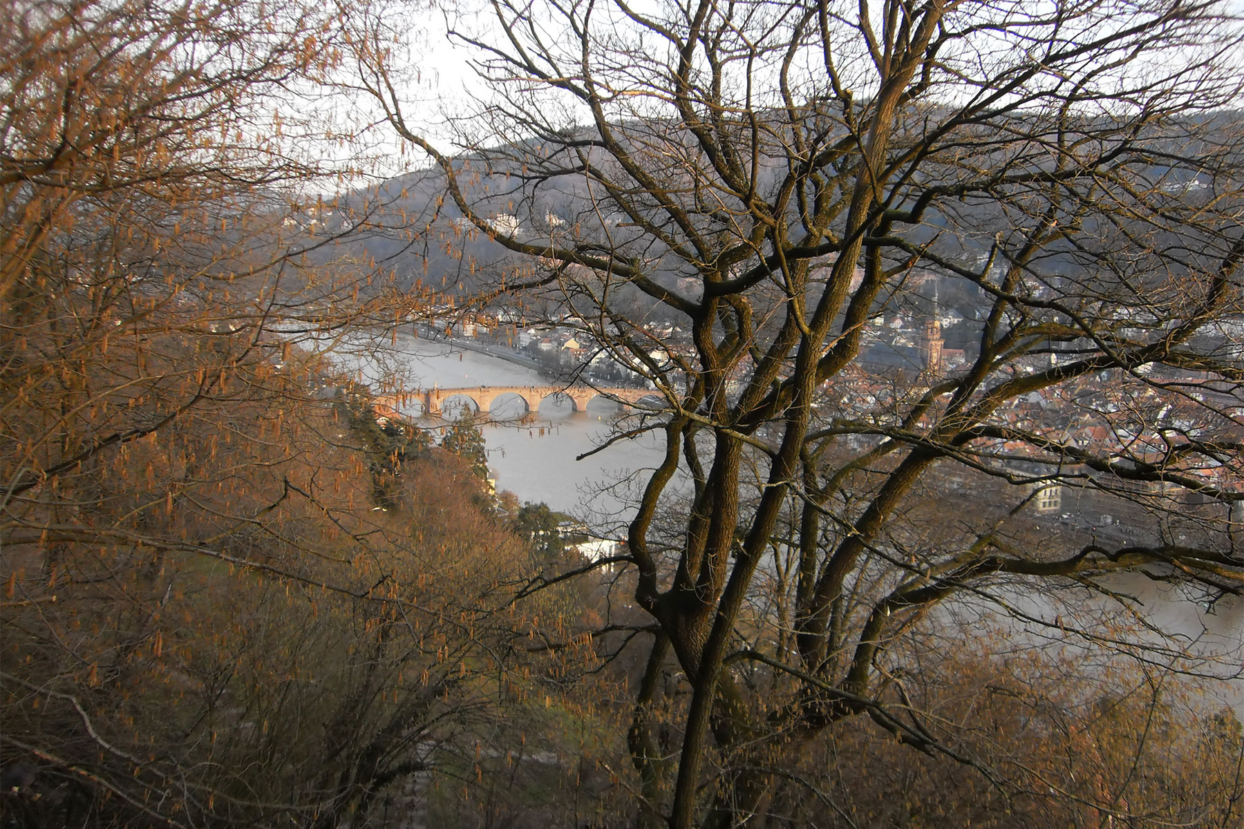 Blick nach unten auf Heidelberg
