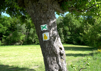 Der E1 trifft auf Etappe 5 wieder auf den Camino Incluso. Das grüne Kreuz ist das Wegzeichen des E1.