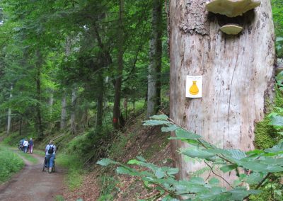 Das gelbe Säckchen am Baum zeigt den Weg.