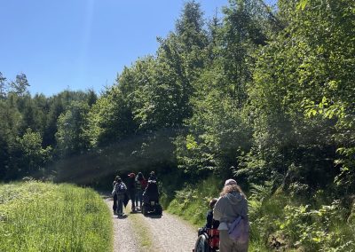 Unter · wegs auf dem Komfort · wander · weg 1: vom P Köhlerwaldweg zum NfH Kohlhof