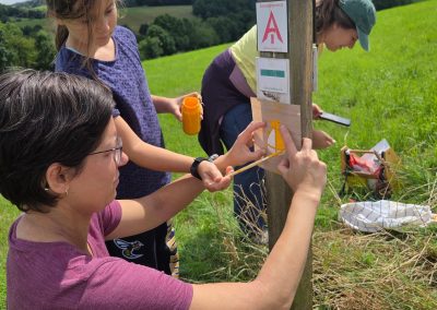 Frida erneuert das gelbe Säckchen