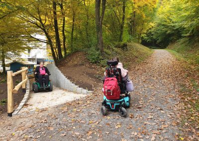 Der Weg in den Wald ist barriere · frei.