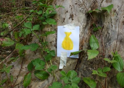 Einen „kleinen Camino Incluso“ im Wald markieren